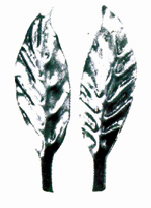 KY-8